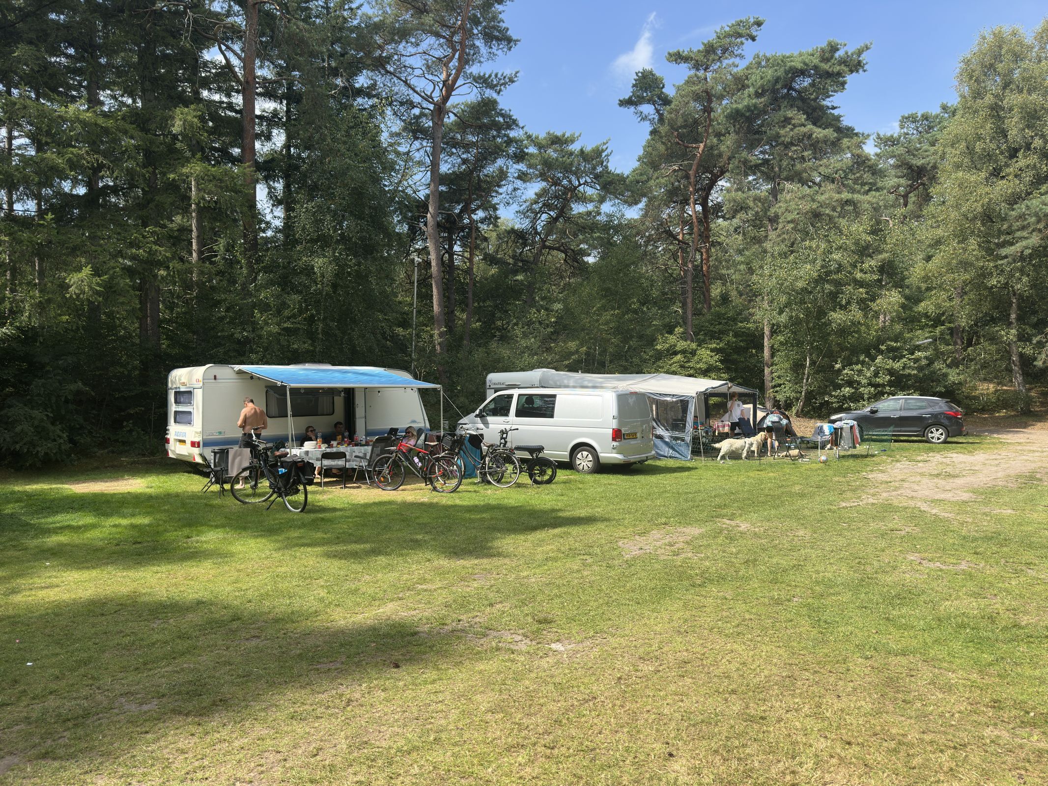 Basis kampeerplaats met Hond — foto 11