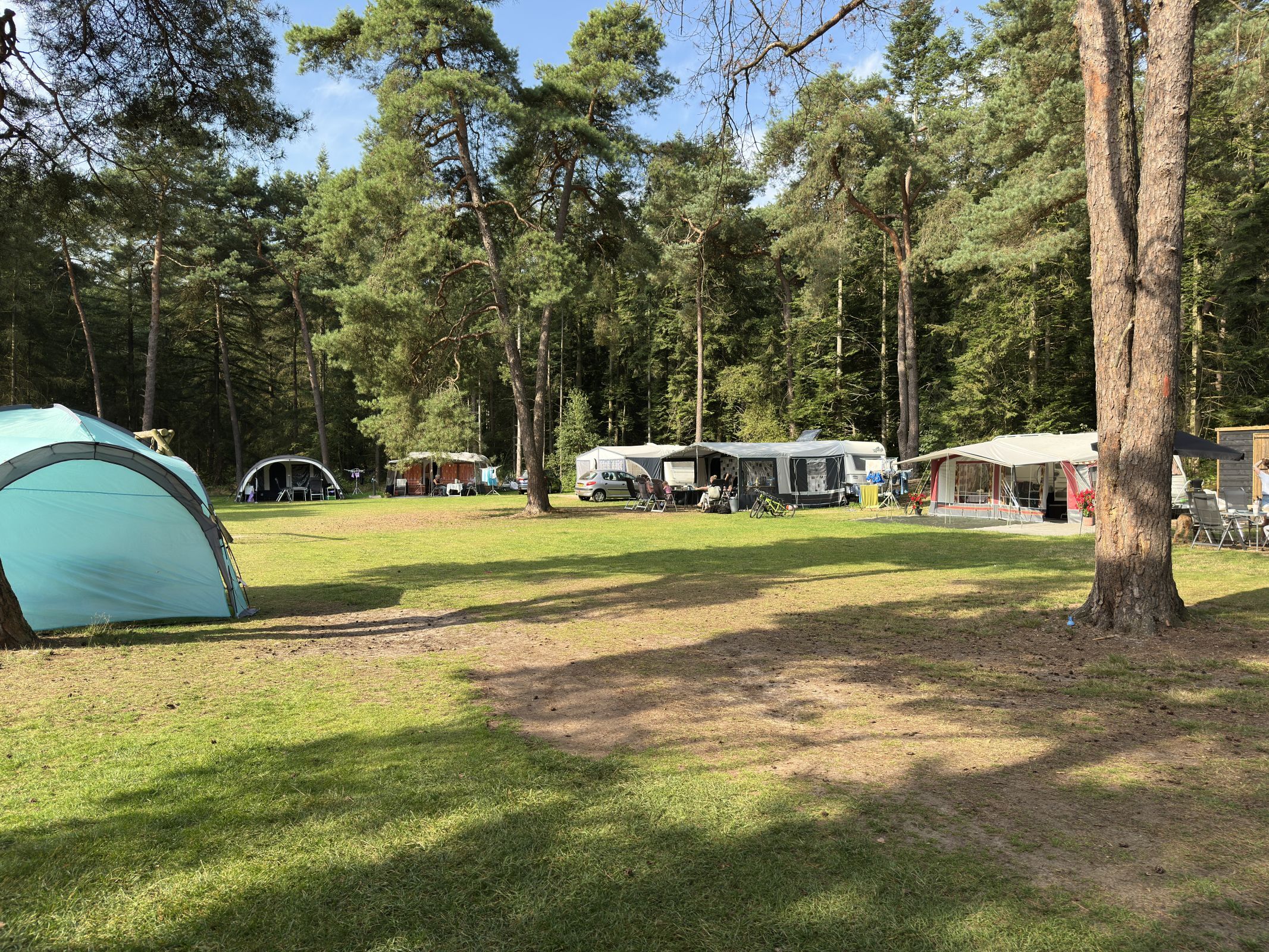 Comfort Kampeerplaats Bosrand — foto 9