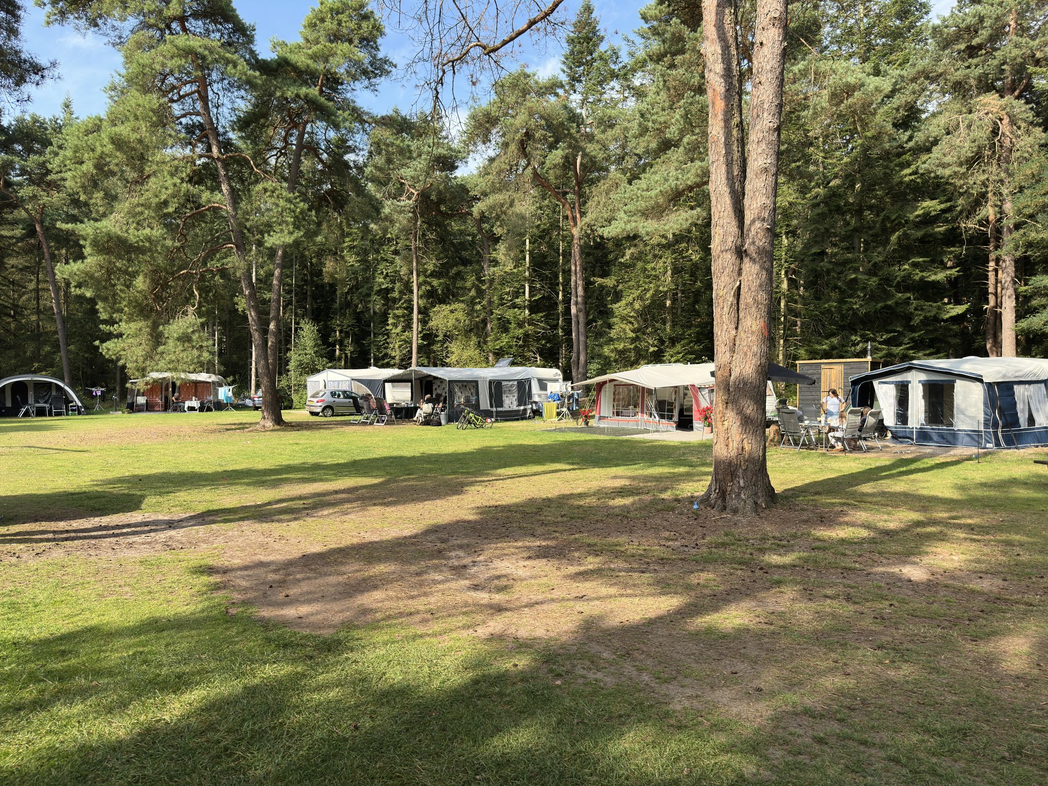 Comfort Kampeerplaats Bosrand — foto 8