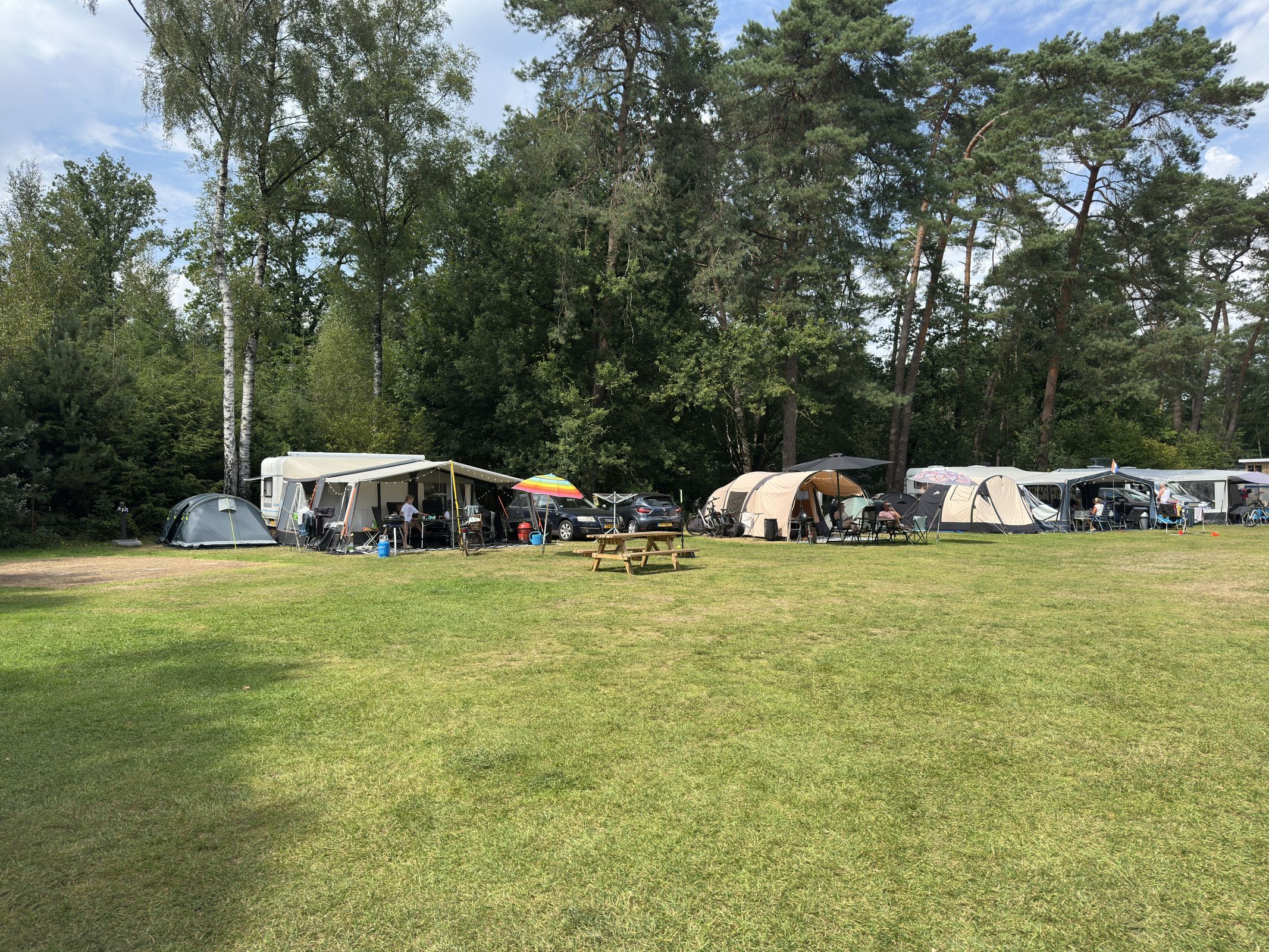 Comfort Kampeerplaats Diervriendelijk — foto 8
