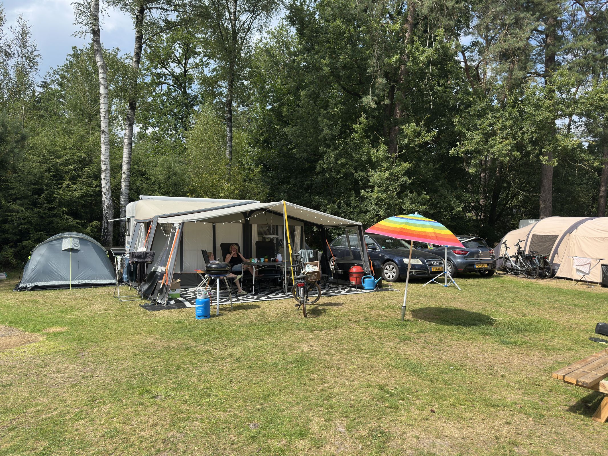 Comfort Kampeerplaats Diervriendelijk — foto 7