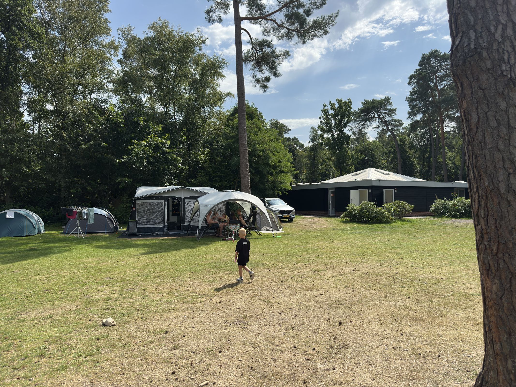 Comfort Kampeerplaats Diervriendelijk — foto 9