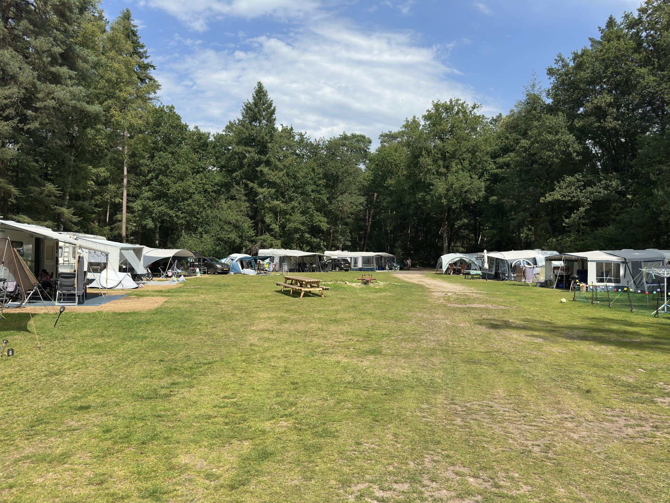 Comfort Kampeerplaats Diervriendelijk — foto 6