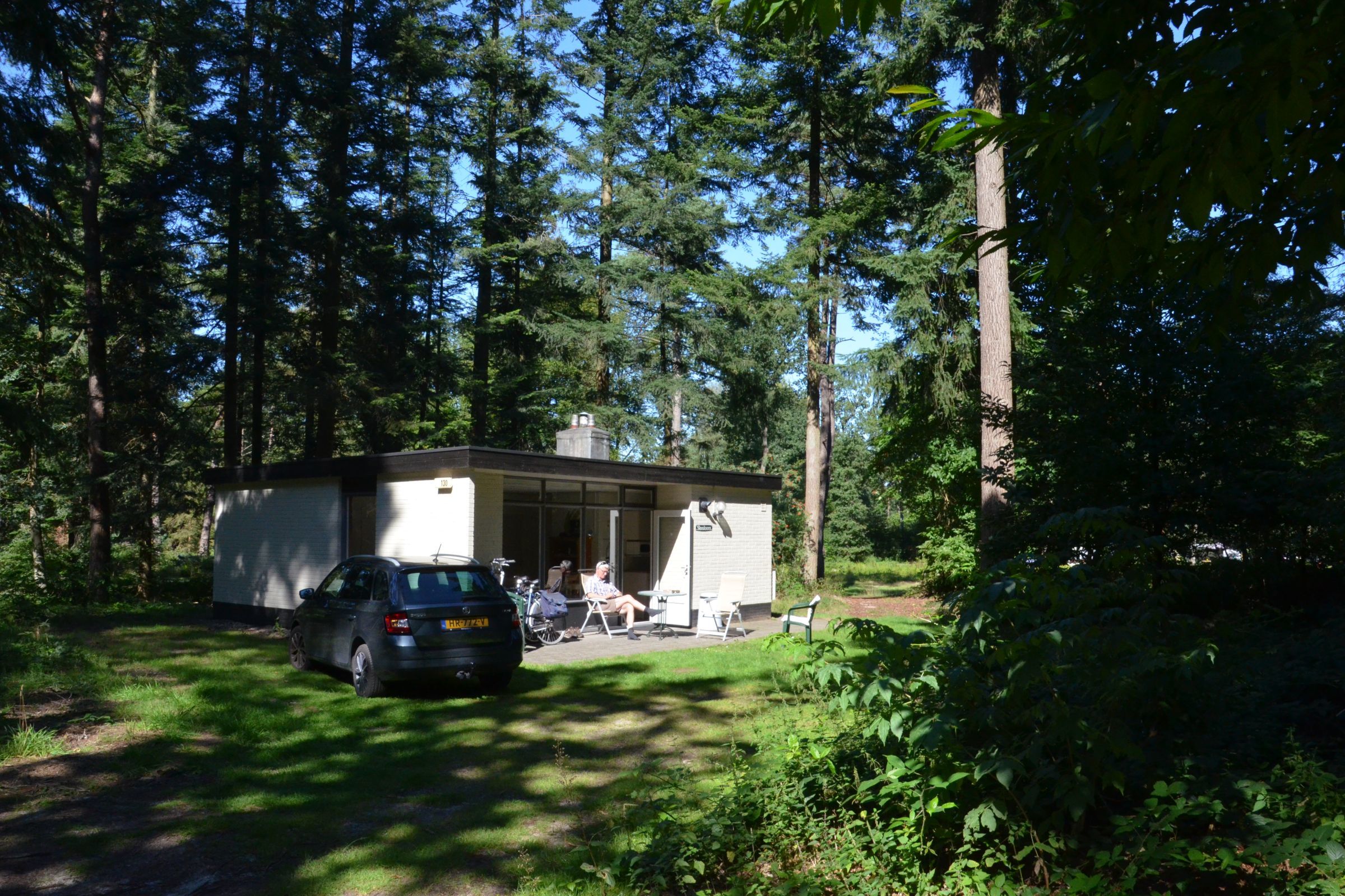 Bos bungalow met hond — foto 6