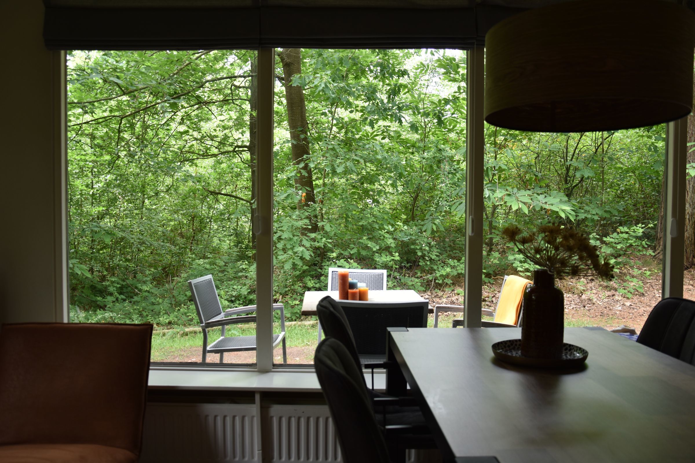 Bos bungalow met hond — foto 8