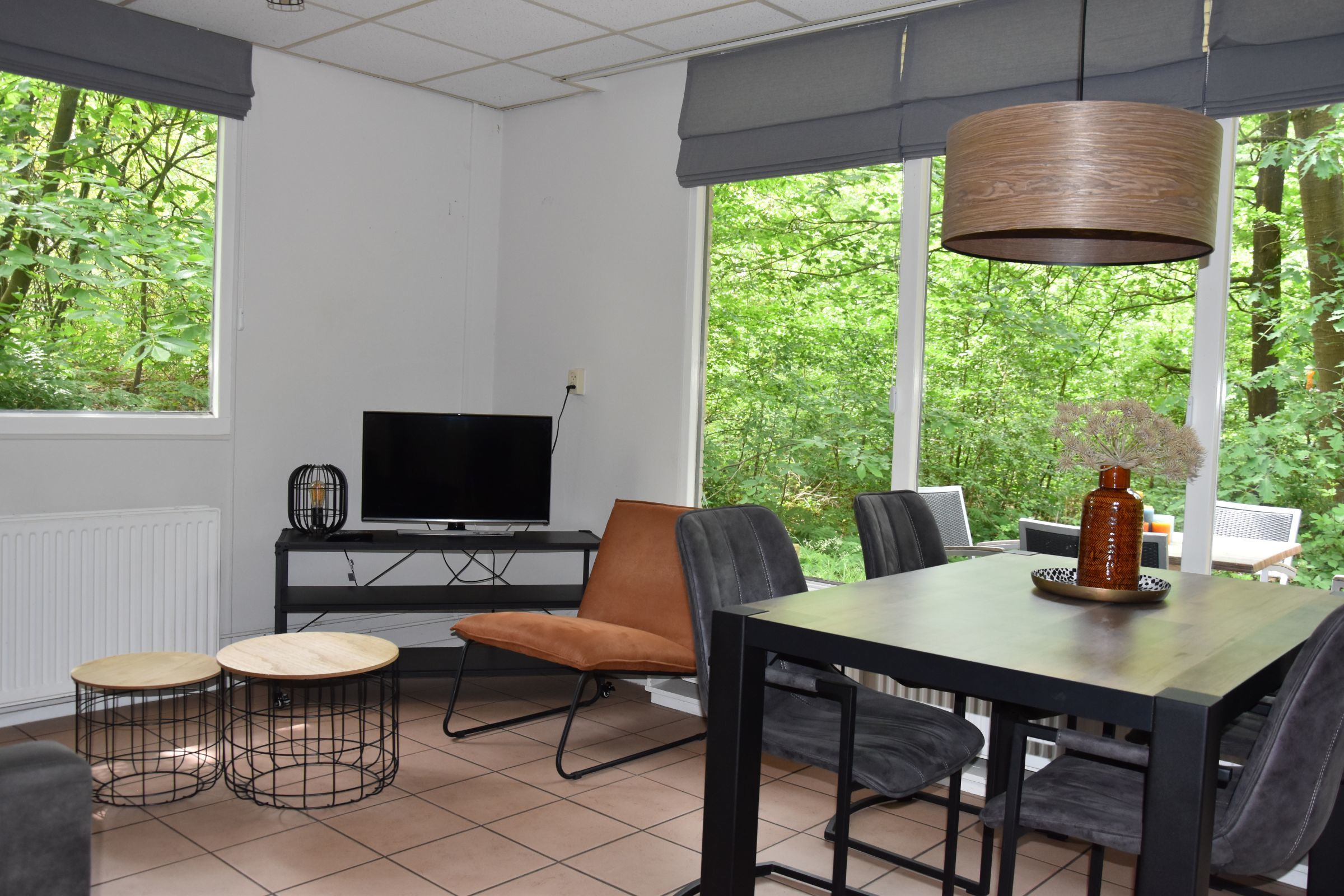 Bos bungalow met hond — foto 7