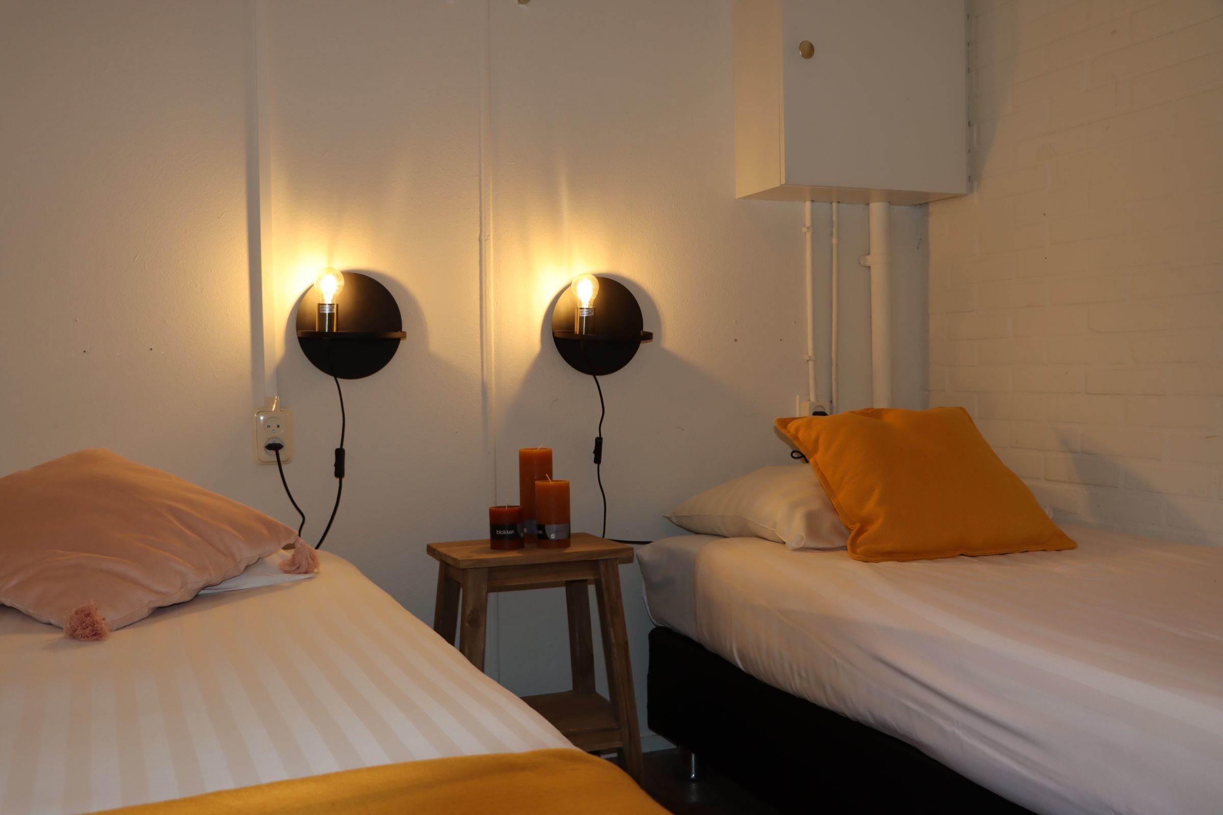 Bos bungalow met hond — foto 11