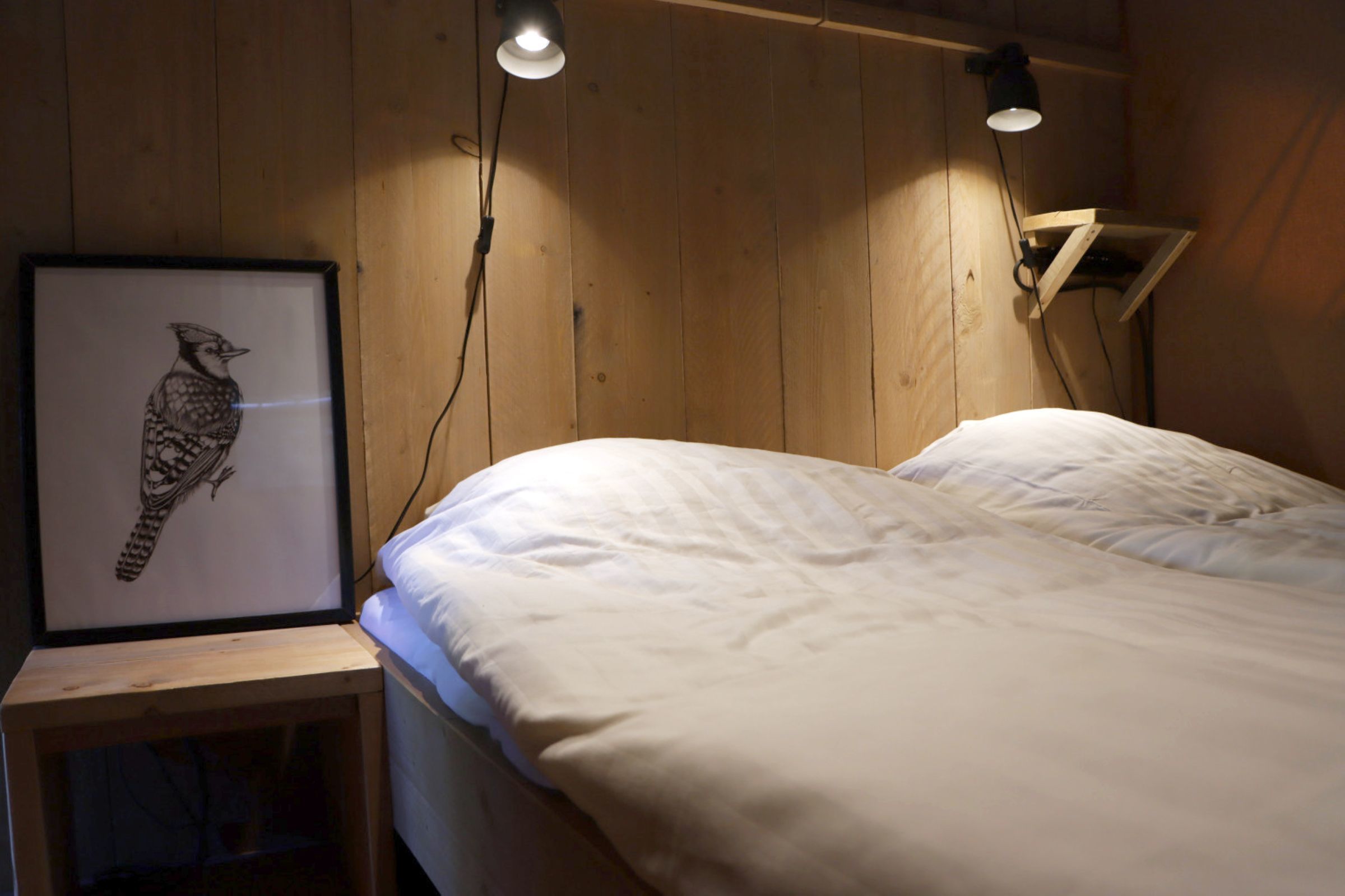 Bos lodge met hond — foto 8