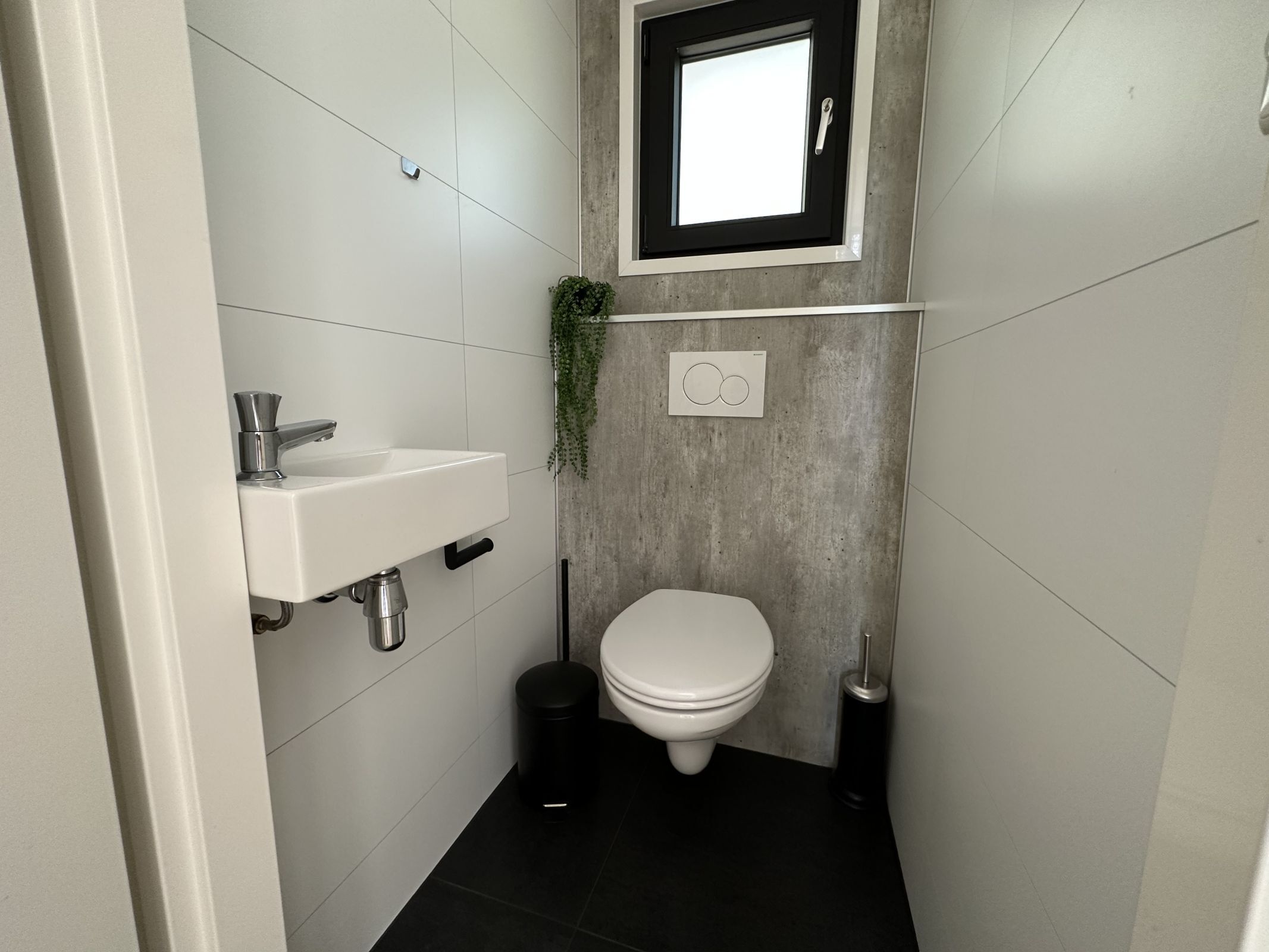 Boshuis Deluxe — foto 8