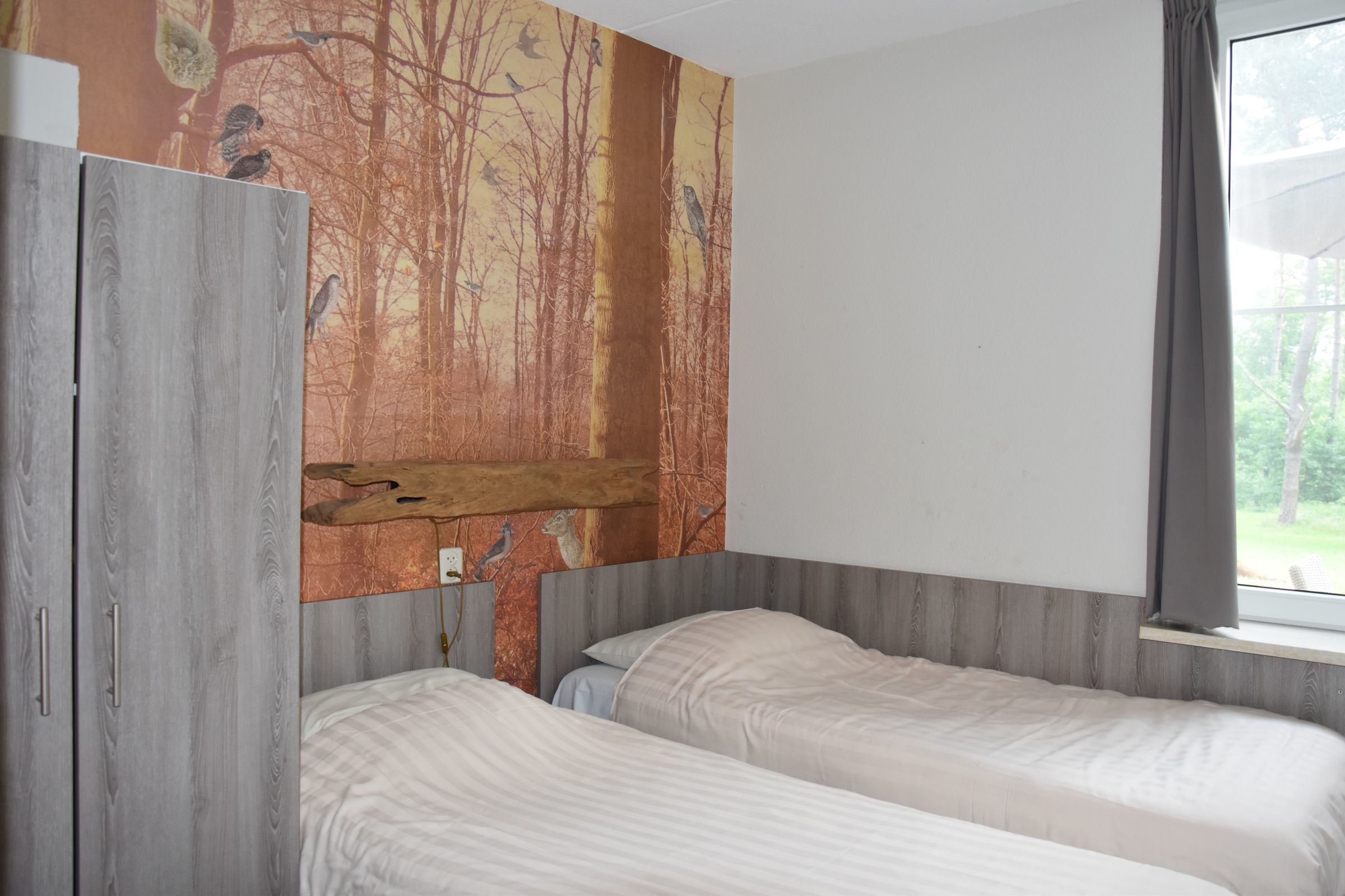 Ommer bungalow met hond — foto 11