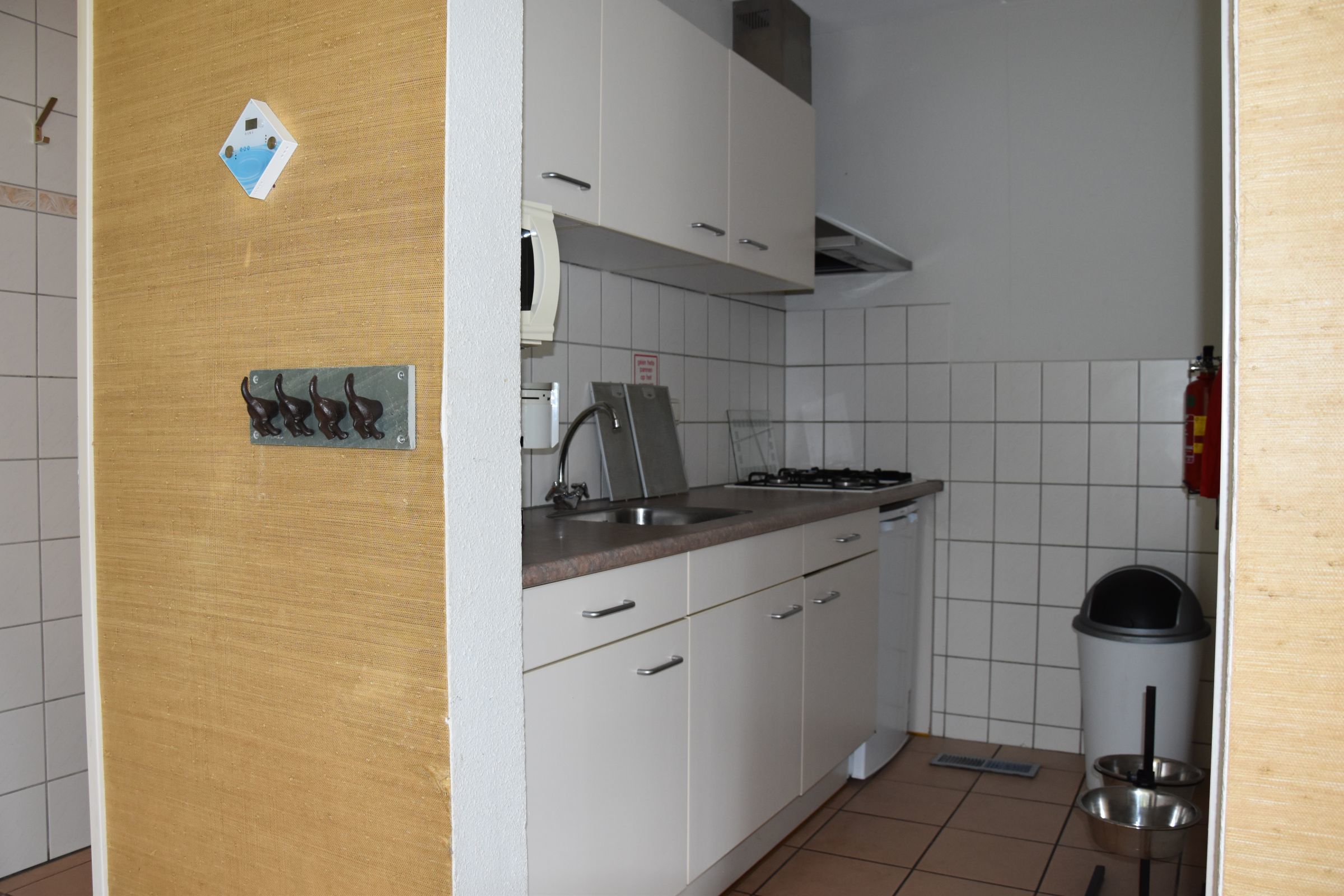 Ommer bungalow met hond — foto 9