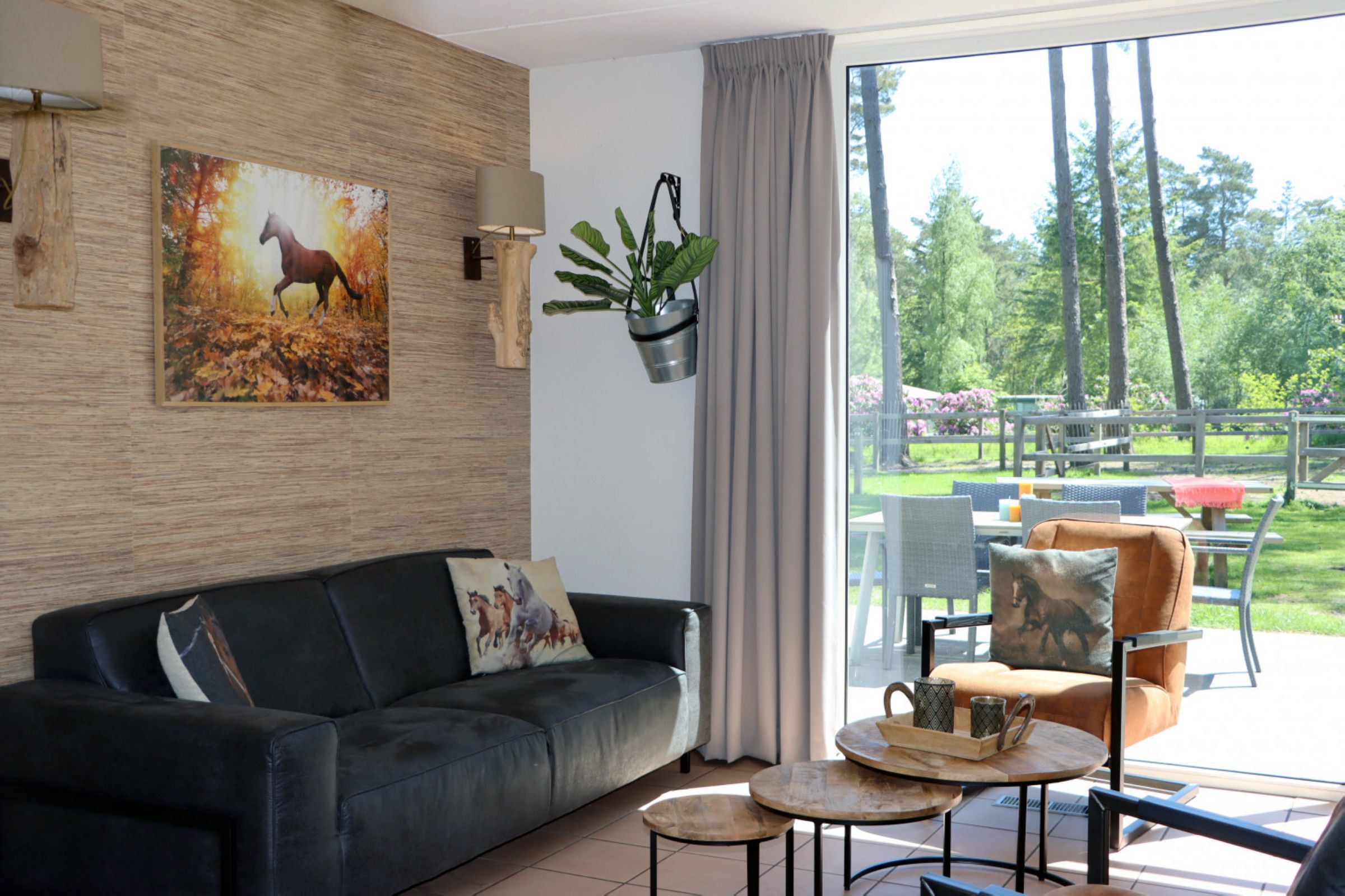 Pony bungalow met hond — foto 10