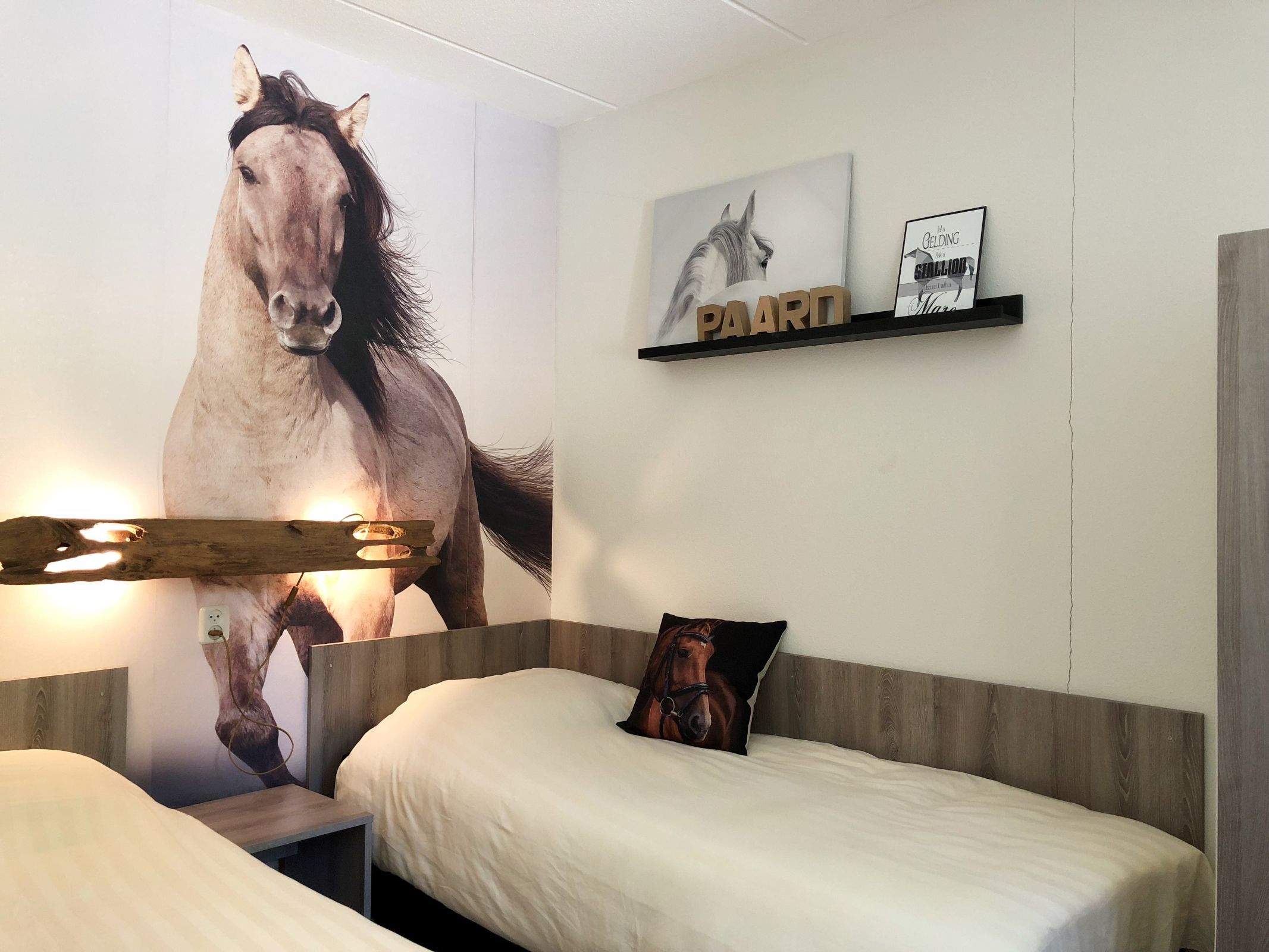 Pony bungalow met hond — foto 7