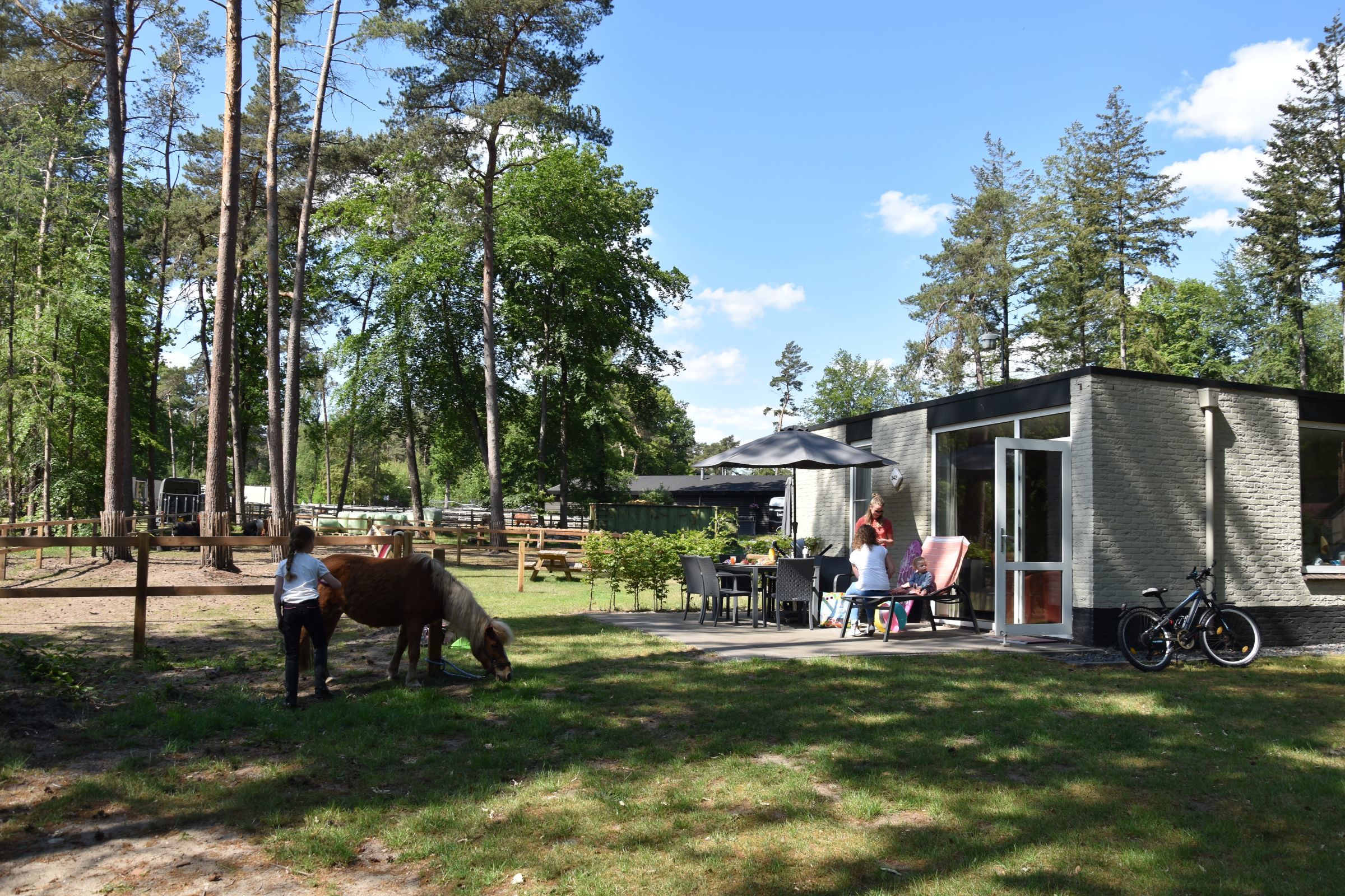 Pony bungalow met hond — foto 11