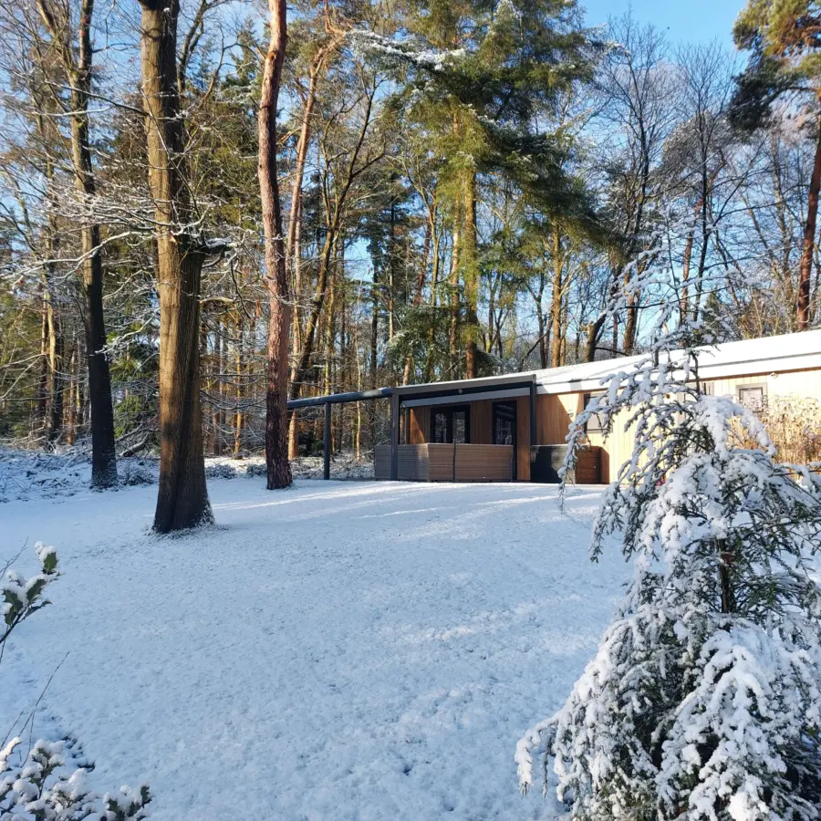 Sneeuw Bos Chalet