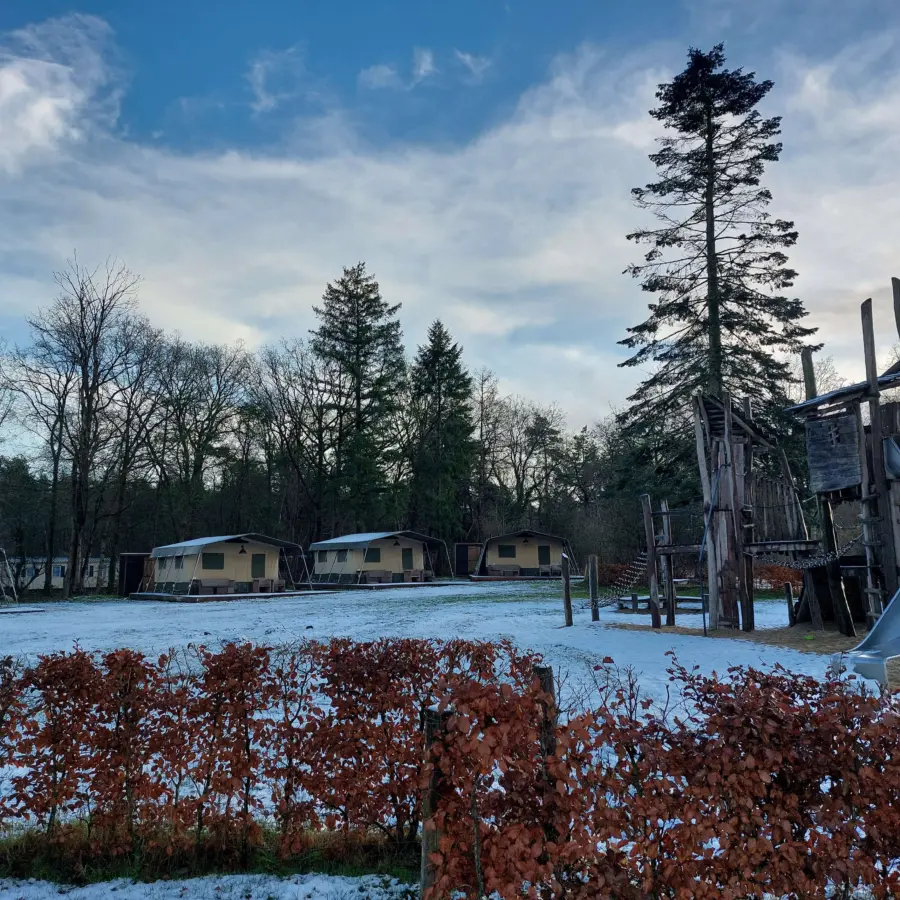 Sneeuw familie lodges