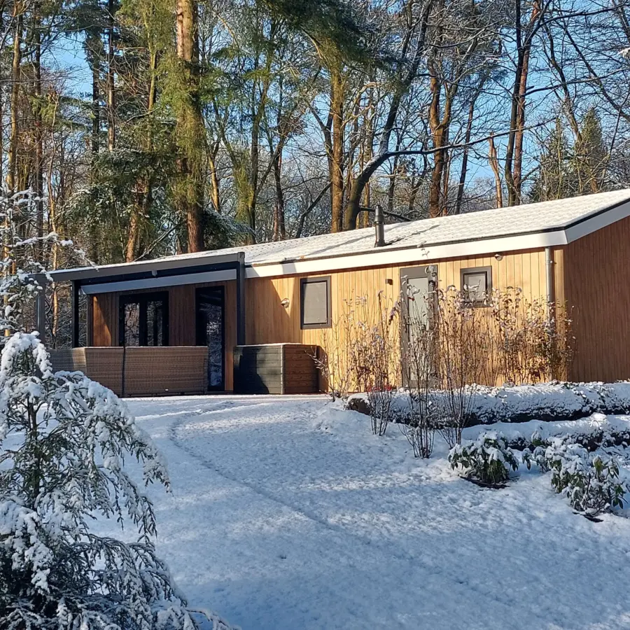 Sneeuw Bos Chalet 2