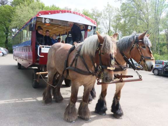 Animatie Camping Ommen 50