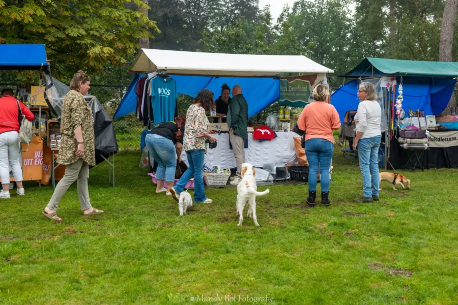 Camping Ommen animatie 9