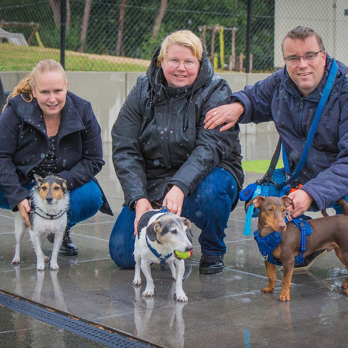 Hondenplons hondencamping Ommen 1