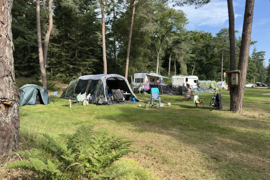 Camping Overijssel Ommerberg 3