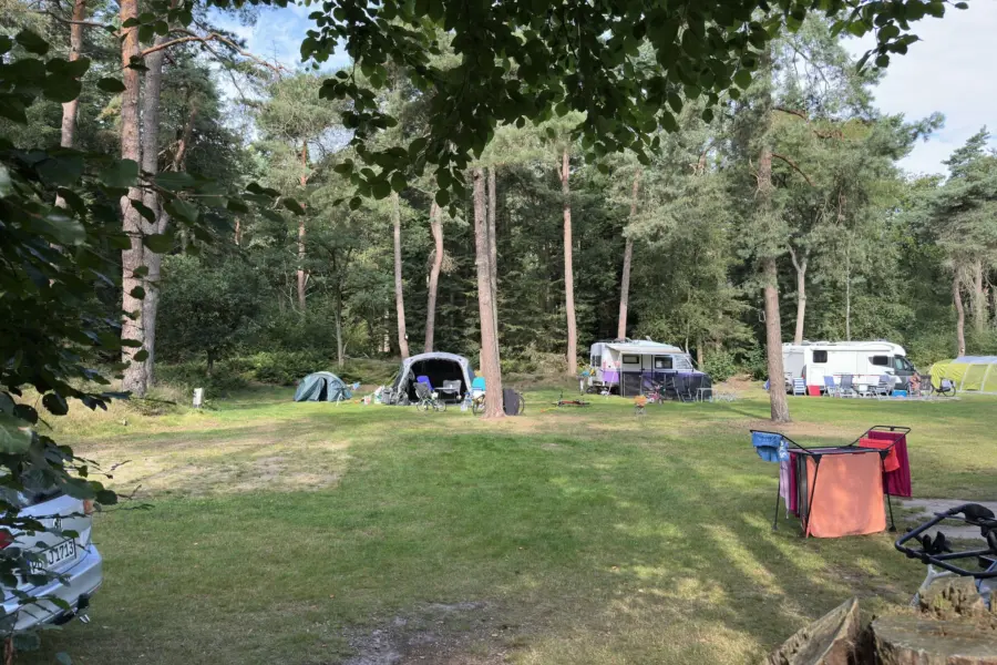 Camping Overijssel Ommerberg 1