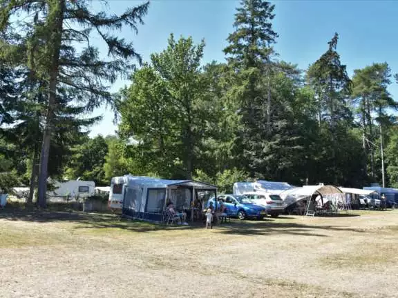 Camping Ommen comfort kampeerplaats Ommergras 16