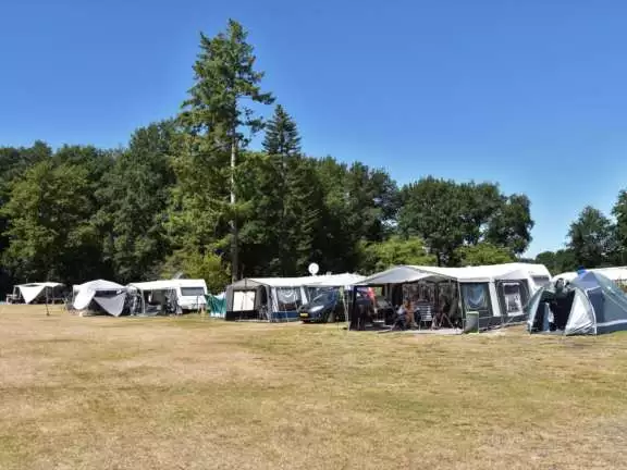 Camping Ommen comfort kampeerplaats Ommergras 22