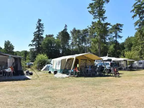 Camping Ommen comfort kampeerplaats Ommergras 8