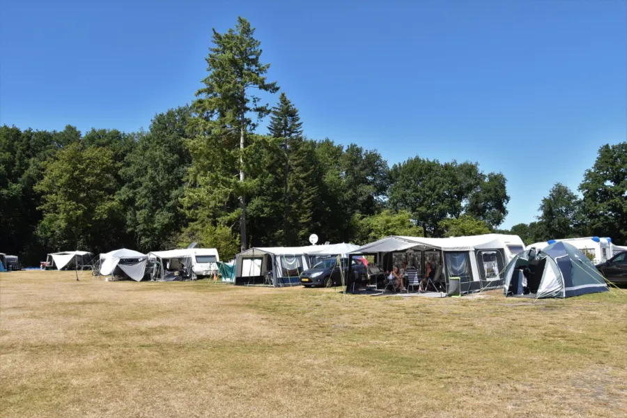 Camping Ommen comfort kampeerplaats Ommergras 22