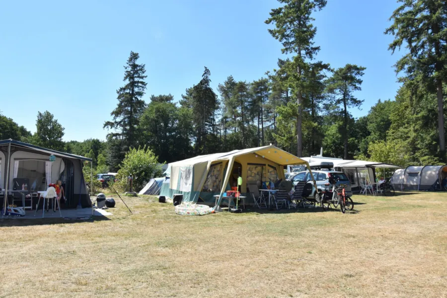 Camping Ommen comfort kampeerplaats Ommergras 8