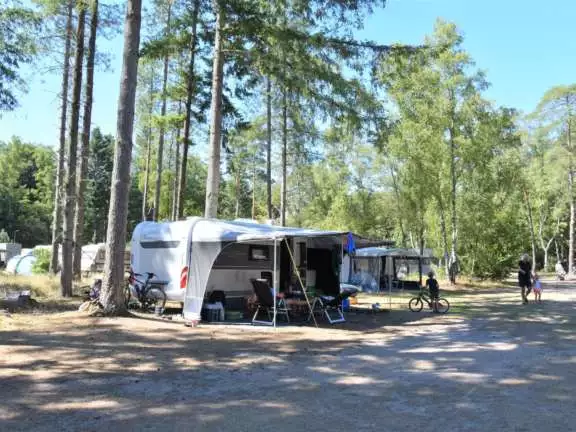 Camping Ommen comfort kampeerplaats Ommerberg 1