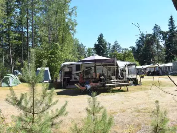 Camping Ommen comfort kampeerplaats Ommerberg 13