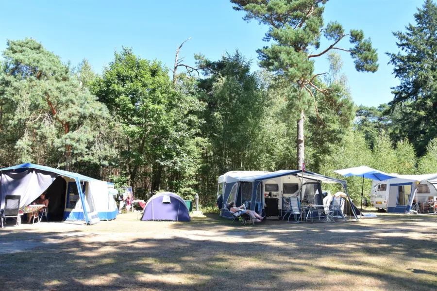 Camping Ommen comfort kampeerplaats Ommerberg 3