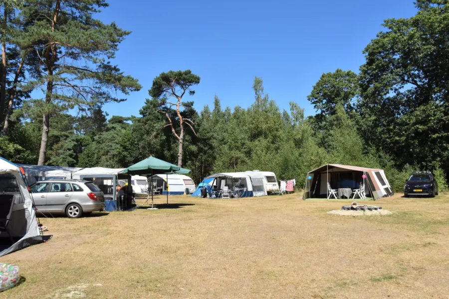 Camping Ommen comfort kampeerplaats Ommerberg 4