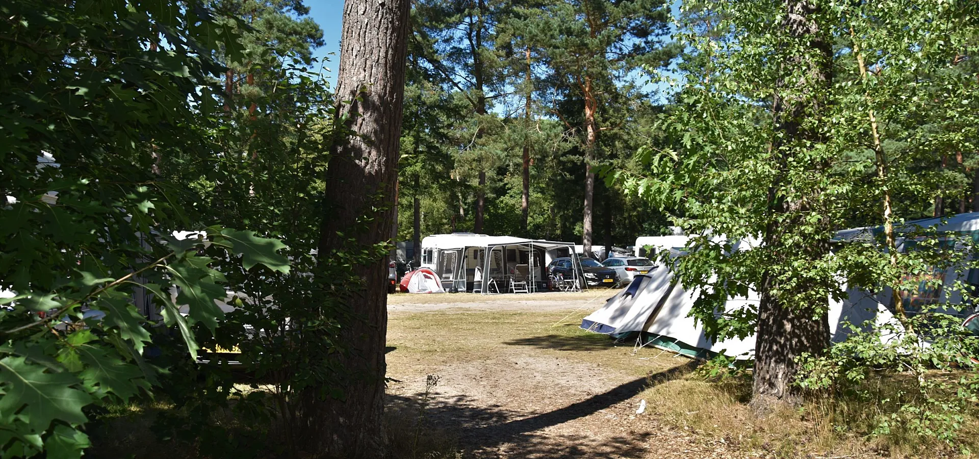 Camping Ommen comfort kampeerplaats Ommerhout 2