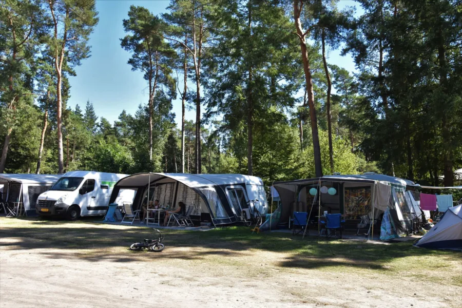 Camping Ommen comfort kampeerplaats Ommerhout 7