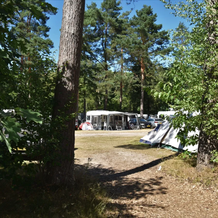 Camping Ommen comfort kampeerplaats Ommerhout 2