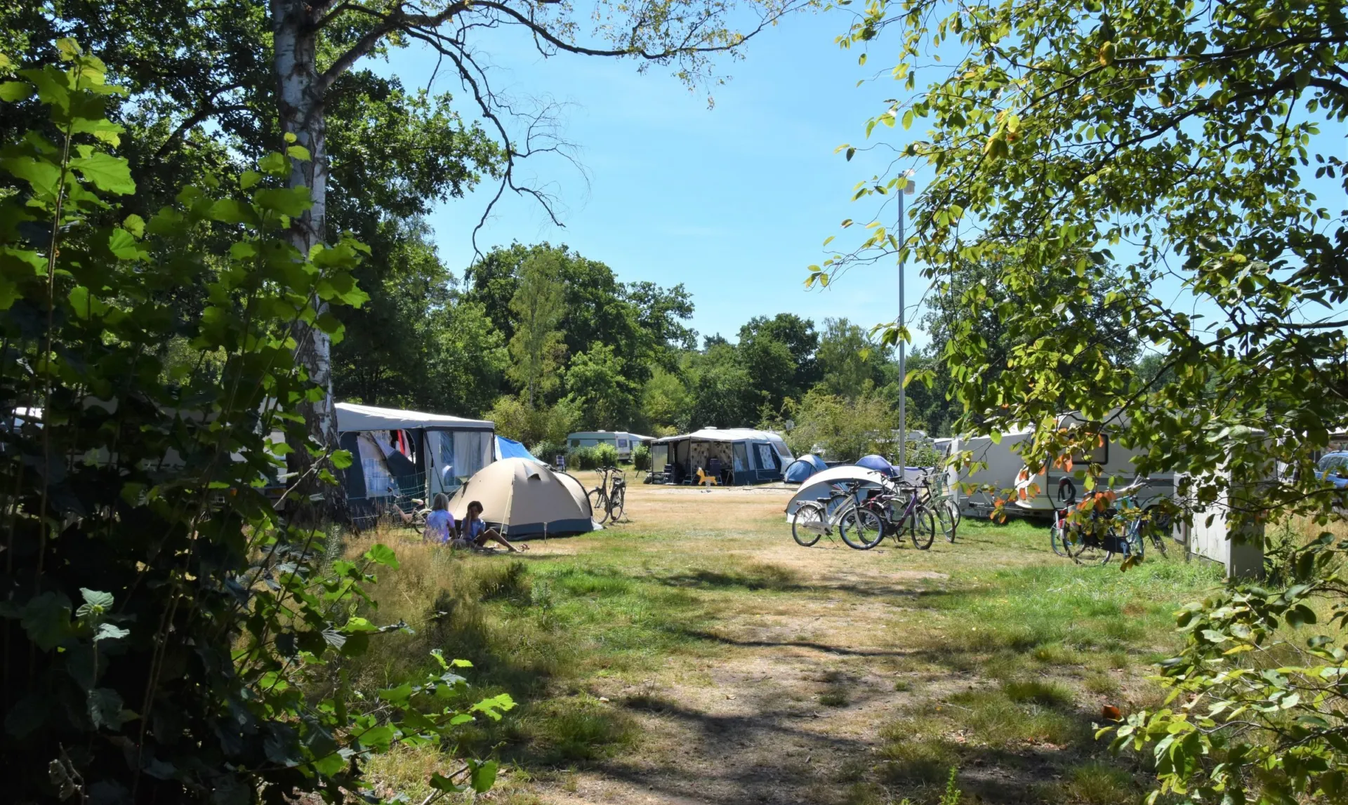 Camping Ommen kampeerplaats honden toegestaan Ommergras 13