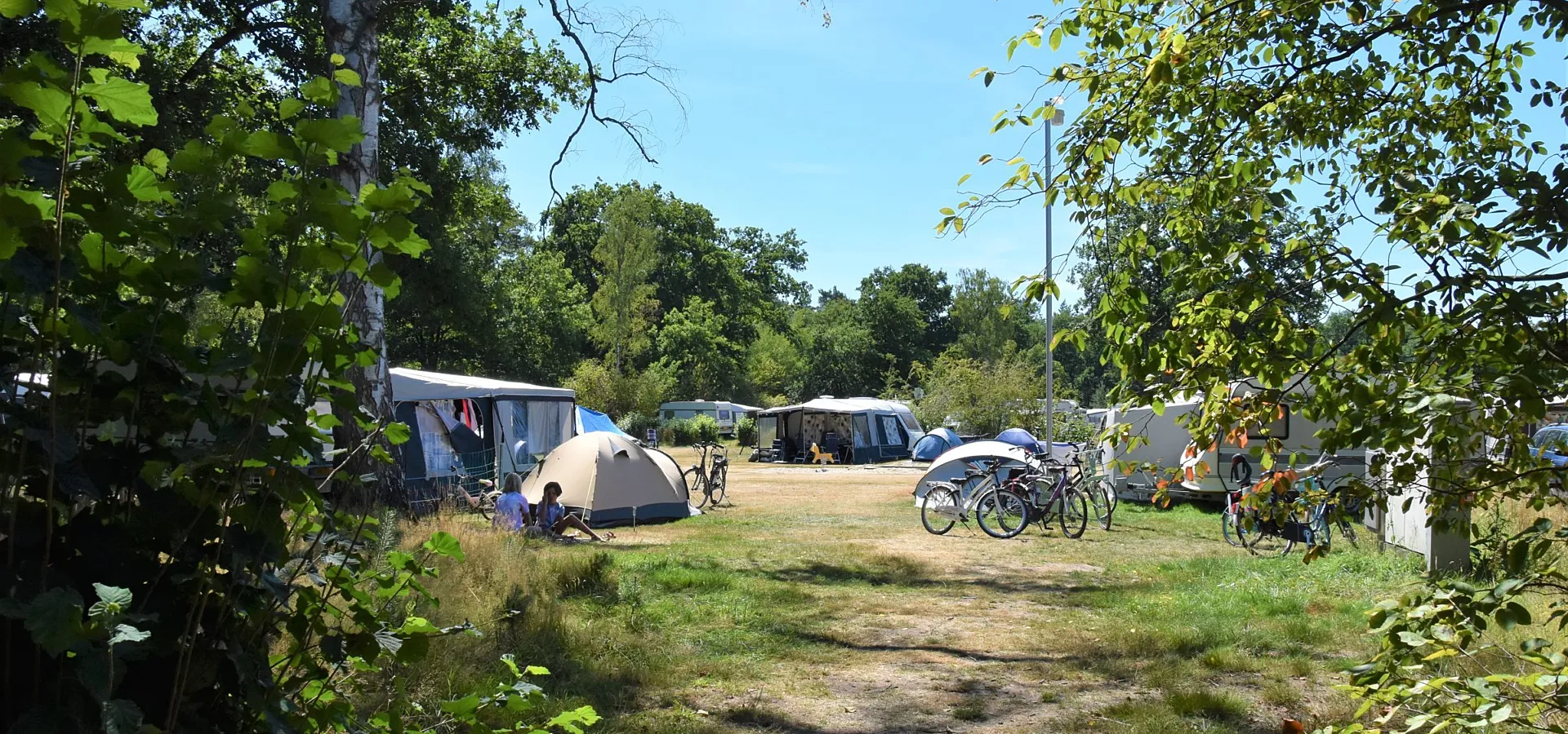 Camping Ommen kampeerplaats honden toegestaan Ommergras 13