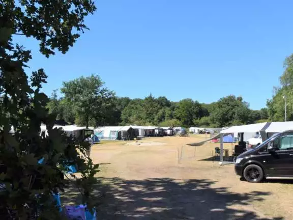 Camping Ommen kampeerplaats honden toegestaan Ommergras 1