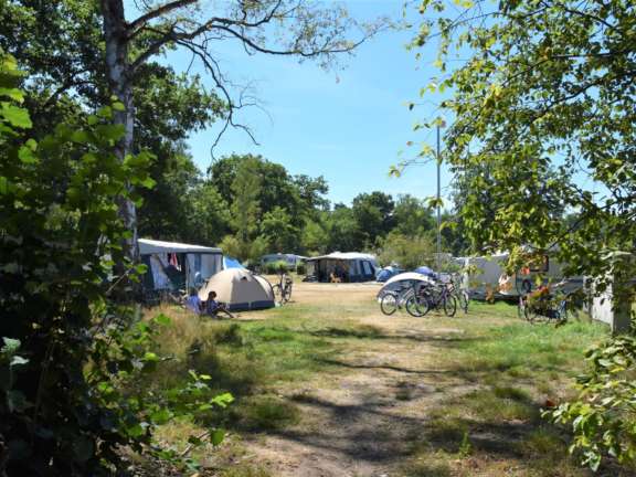 Camping Ommen kampeerplaats honden toegestaan Ommergras 13