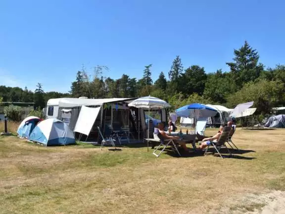 Camping Ommen kampeerplaats honden toegestaan Ommergras 9