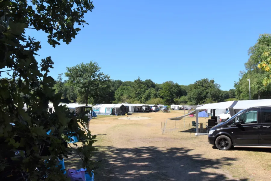 Camping Ommen kampeerplaats honden toegestaan Ommergras 1