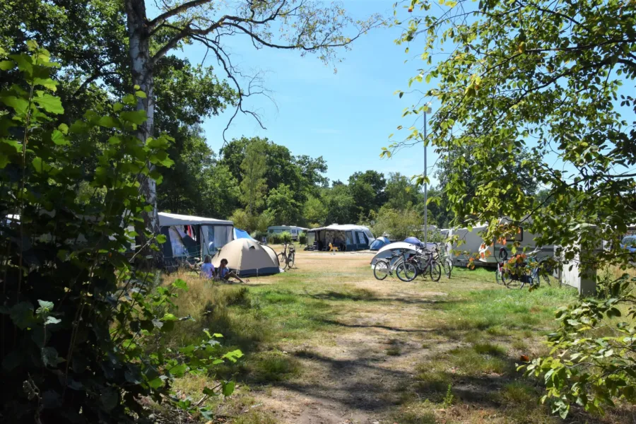 Camping Ommen kampeerplaats honden toegestaan Ommergras 13