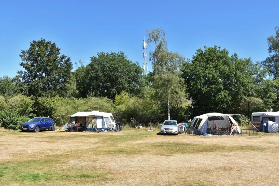 Camping Ommen kampeerplaats honden toegestaan Ommergras 8