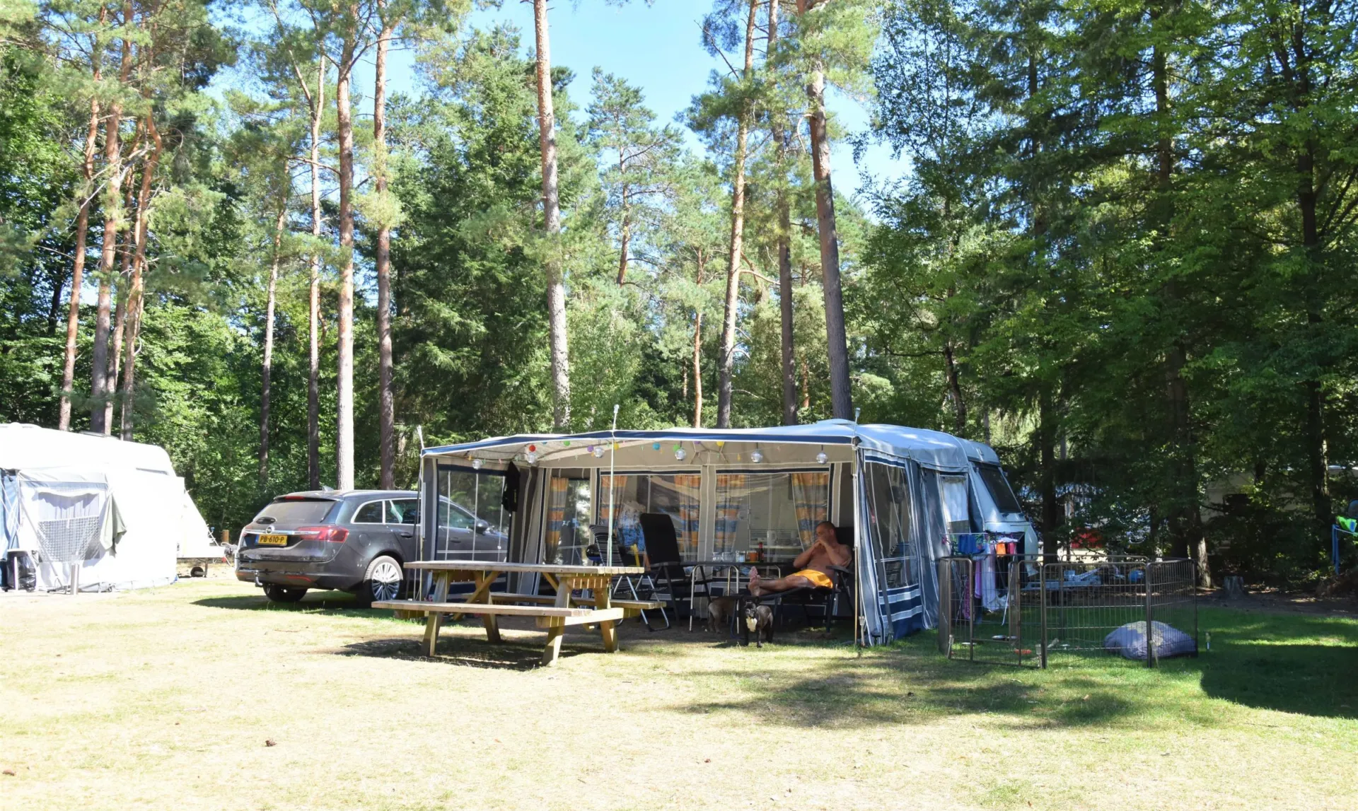 Camping Ommen kampeerplaats honden toegestaan Ommerhout 6
