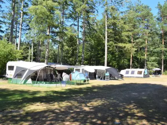 Camping Ommen kampeerplaats honden toegestaan Ommerhout 2