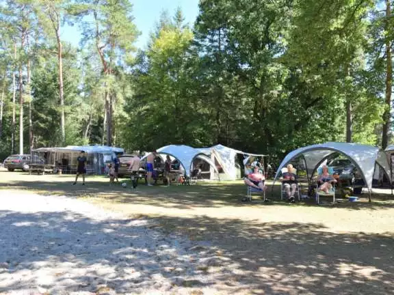 Camping Ommen kampeerplaats honden toegestaan Ommerhout 4