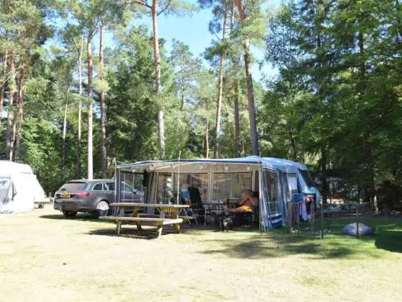 Camping Ommen kampeerplaats honden toegestaan Ommerhout 6